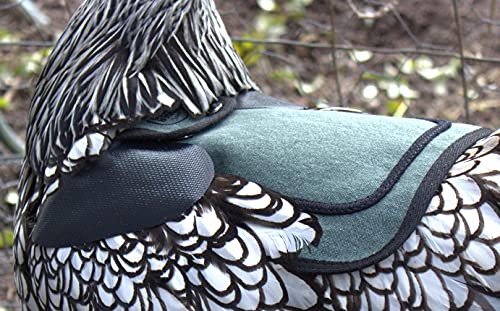 DOWN UNDER OUTDOORS 10 Pack of Light Duty PVC Medium-Large Shoulder Covers | Will Only Suit Our Medium/Large Chicken Saddles, Aprons, for Hens and Poultry - size: Set of 10 Light Duty Medium Shoulder Covers