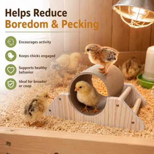 Baby Chick Perch & Tunnel Toy Set for Brooder, Chick Roosting Bar Training Toys, Chicken & Duckling Enrichment Playground, Anti-Boredom Coop Accessories for Baby Chicks Ducks Small Birds