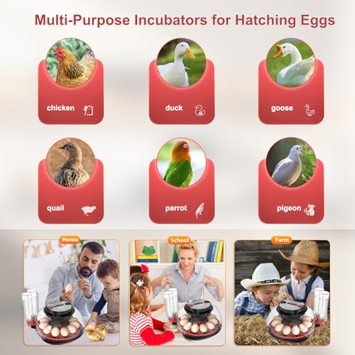 Egg Incubator for Hatching Eggs, 12-Egg Automatic Chicken Incubator | Small Incubator with LED Candler, Auto Turn & Humidity Control for Quail Duck Goose Eggs, STEM Classroom, Farm, 360° Airflow