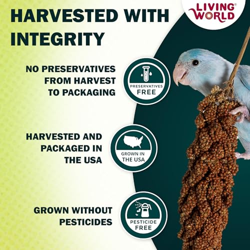 Living World - Millet Spray for Birds, 3.5 Oz – Premium Treat for Budgies, Canaries, Finches, Cockatiels and Other Pet Birds - size: 3.5 Ounce (Pack of 1)
