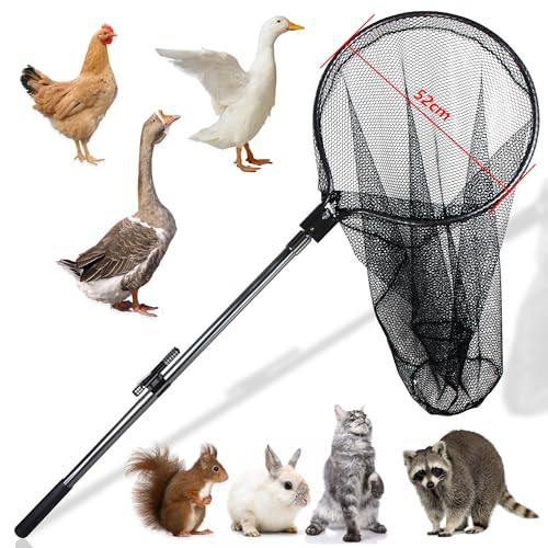 Catch Net Small Animal Control Net Poultry Catching Trap Tool for Cat, Chicken, Duck, Goose, Fish, Bird and Others (43~78" Telescoping Handle with 20.5" Net Opening) - color: Advanced Grey - 20.5inch Net Opending