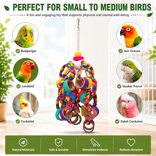 Bird Toys 24PCS Foraging Colorful Chew Ring Cage Accessories for Small Bird | Shredder Bird Toys,24PCS Colorfur Bagel Chewy Rings,for small parrots,Quaker Parrot, lovebirds,Keep Birds Active