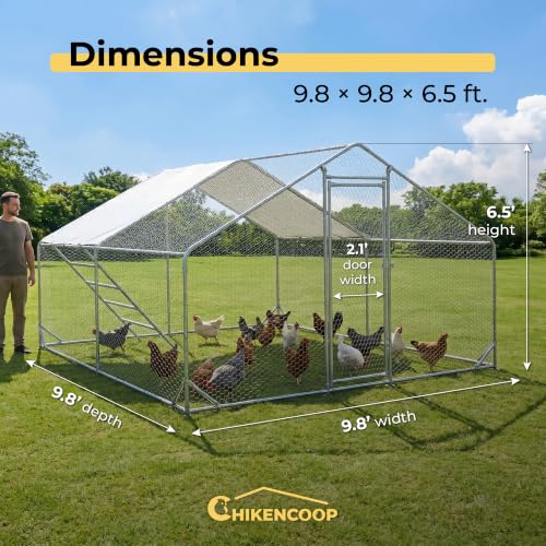 Efficraft 2-Room Chicken Coop, 9.8 x 9.8 x 6.5 ft, Waterproof Cover | 9.8 x 9.8 x 6.5 ft 2-room walk-in run with galvanized frame, PVC-coated mesh, lockable door, and waterproof cover. - size: 118.0"L x 118.0"W x 80.0"H