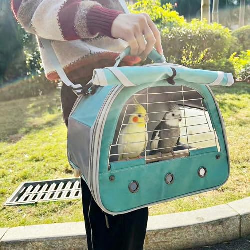 Bird Travel Carrier Cage, with Stainless Steel Metal Window and Wood Perch, Portable Bag for Cockatiel Parakeet Conure Green Cheek Budgie (Green, Steel Window) - color: Green