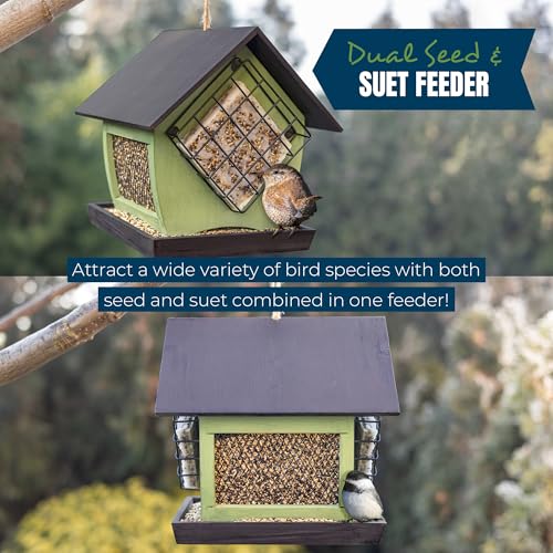 MEKKAPRO Double Suet Cage Bird Feeders, Weatherproof Hanging Outdoor Feeder | Suet Holder For Wild Birds, Built For Outside Hanging, Offering Suet Bird Feeders For Outdoors Across Every Backyard Setting
