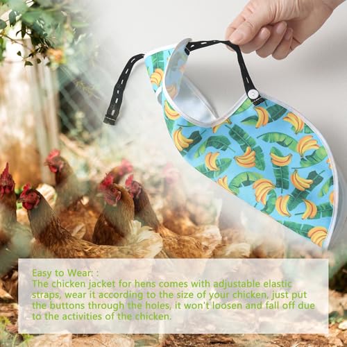 Chicken Saddle for Hens, 3 Pack Chicken Apron with Elastic Straps, Breathable & Washable Feather Protection Vest for Broody Hens or Molting, Easy to Clean (Cloud) - color: Cloud
