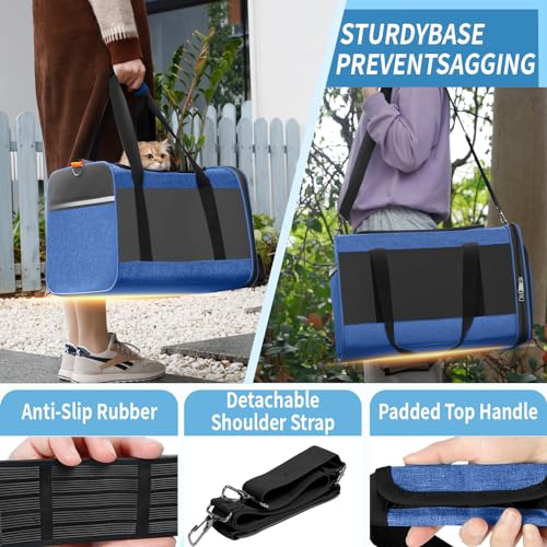 GAPZER Large Cat Carrier Soft, Collapsible Travel Pet Carry Bag, Small Dogs | Large Kitty Cat 20 lbs Maine Coon, Top Load Transport Small Puppy Dog Kennel, Yorkie Little Dog 10lbs, Sturdy Fabric Blue - color: Blue