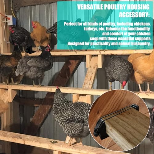 Heavy Duty Poultry Roost Bar Mount Brackets for 2x4in Flat Lumber - Durable & Easy Install Chicken Roosting Bars for Coop, Turkey, and Other Poultry | 4-Pack with Screws