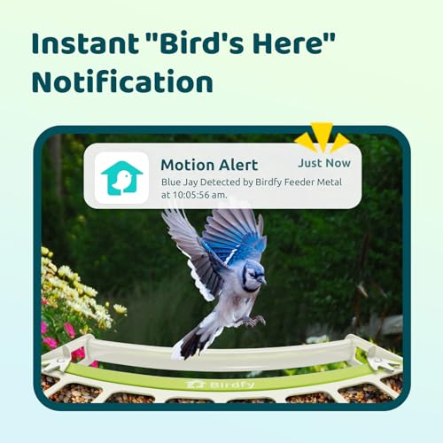 Smart Bird Feeder with Camera, Durable Metal Feeders for Outdoors, Auto-Identify & Record Video, Instant Alert, Live Bird Watching Camera Solar, Gifts for Backyard Birder (AI Lifetime Free) - style: AI Lifetime Free