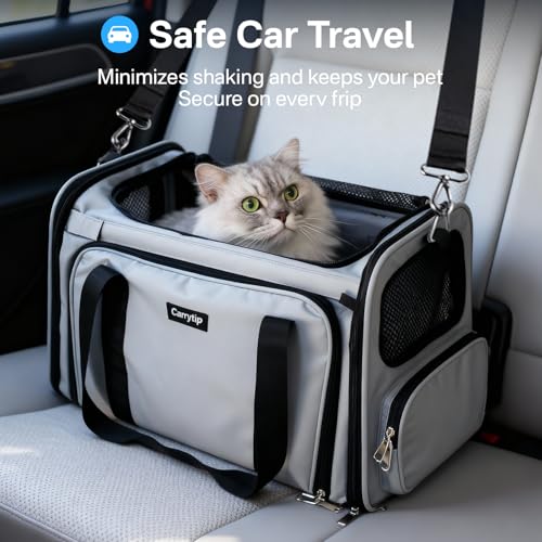 Expandable Cat Carrier, Airline Approved Soft Sided Pet Carrier for Cats & Small Dogs Up to 15 lbs, with Locking Safety Zippers & Cozy Fleece Pad, Portable for Car & Vet Visits, Black
