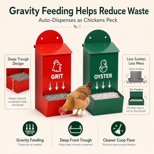 Chicken Grit and Oyster Shell Feeder 2 Pack, Oyster Shell for Chickens and Grit for Chickens Holder, No Waste Chicken Feeder with Rainproof Lids, Drain Holes, Wall Mounted Metal