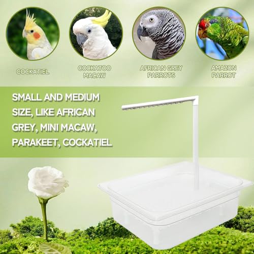 Parrot Bathtub Indoor Automatic Bath Shower with 180 ° Circulating Faucet Contains USB and Power Plug for Medium Birds African Grey Amazon Conure Parakeet Cockatiel Lovebird