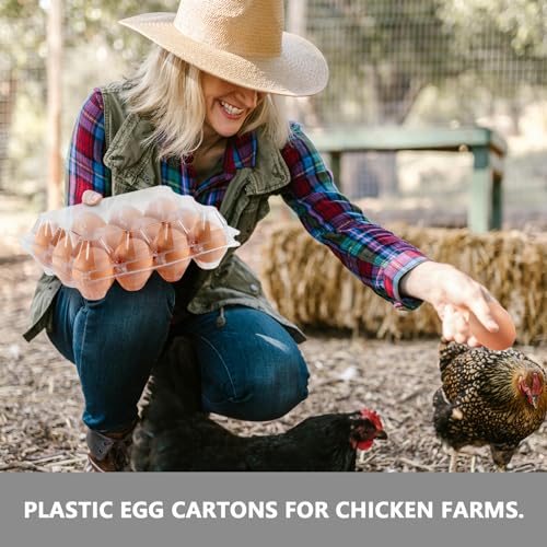 60PCS Plastic Egg Carton Reusable Egg Cartons Cheap Bulk for Large Eggs | 1 Dozen Blank Egg Tray Clear Egg Container Holder for Refrigerator Home Ranch Chicken Farm Commercial Market Display - size: 60Pack-3x4 Grids