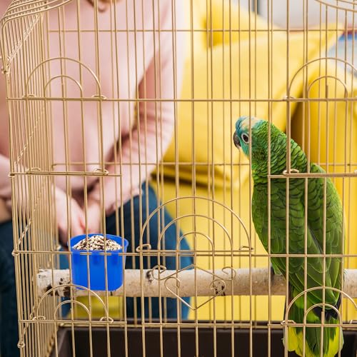 40 Pcs Cage Cups Birds Feeders Bird Water Dispenser Hanging Quail Waterer Plastic Chicken Feeding Watering Dish for Small Coop Parrot Parakeet PET Poultry Pigeon Gamefowl Food Seed Bowl Supplies(Blue) - color: 8oz-Blue