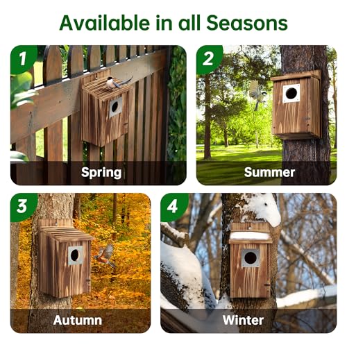 Bird Houses for Outside with Metal Predator Guard for Bluebird Wren Swallow Finch, Carbonized Wooden Nesting Boxes for Outdoor, Sturdy Bird House,Easy to Clean