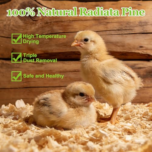 80 Ounces Premium 100% Natural Radiata Pine Shavings for Chicken Coop Bedding,5LB Wood Pine Shavings,Super Absorbent,Low Dust,Eliminating Bad Smells for Chicken Coops Nesting Boxes Brooder