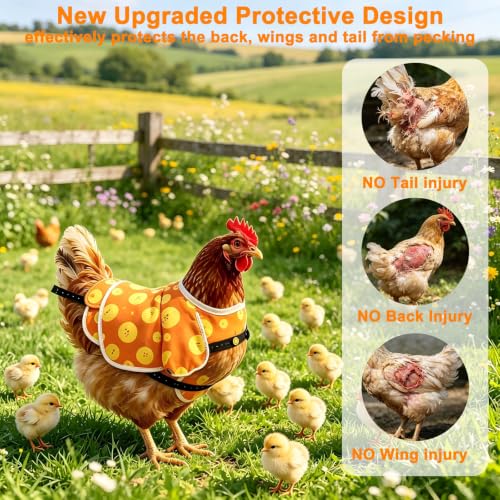 Chicken Saddle for Hens, 2 Pack, Adjustable Waterproof Hen Vest, Breathable Fabric, Feather Protection and Recovery, Rooster Mating Guard (Orange Chick & White Rooster)