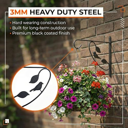 Bird Scroll Metal Wall Bracket for Hanging Accessories and Flowerpots Suitable for Indoor & Outdoor Use, Black Set of 2 - color: Black, size: Bird Scroll