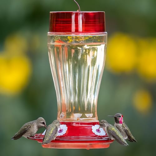 More Birds Bird Health+ Big Gulp Hummingbird Feeder, Glass Hummingbird Feeders for Outdoors, 5 Feeding Stations, 40 Ounces | Built-in Ant Moat, 40 oz Large Capacity, 5 Feeding Stations, BPA-Free Red Base and Top