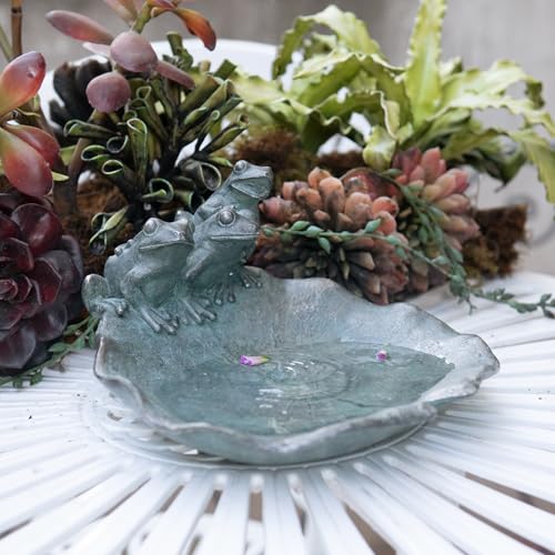 Wild Bird Feeder Birdbath Bowl - Garden Decorations Hummingbird Feeders Frogs on Leaf Bird Bath for Backyard Patio Outdoor Gifts for Frogs Lovers Mom Grandma Women 9.25*9.25*5 inch Newman House Studio