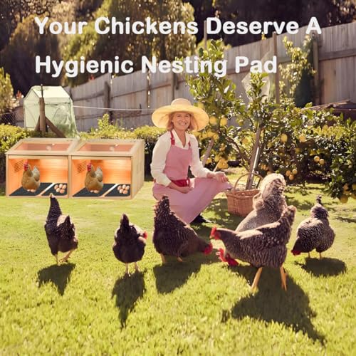 Durable Washable Chicken Nesting Pads for Coop - 12x12 Inch Reusable Nest Box Mats, 4PCS Soft Plastic Liners for Egg Laying Hens - Easy Clean, Leakproof, Premium Quality