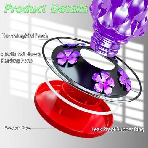 24OZ Glass Hummingbird Feeders for Outdoors Hanging,Five Feeding Ports with Perch, Leak Proof for Gardens Decor Backyard, Bird Feeder for Outside, Birthday Gifts for Women Men, Gifts for Mom Dad - color: Purple