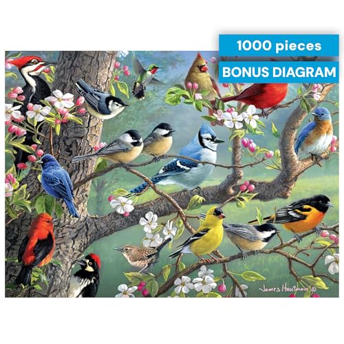 Buffalo Games Hautman Brothers Birds, 1000 Piece Jigsaw Puzzles for Adults | Poster Included for Adults, Less Guesswork, Precision-Cut Pieces, Snap Fit, Less Puzzle Dust, Made in USA