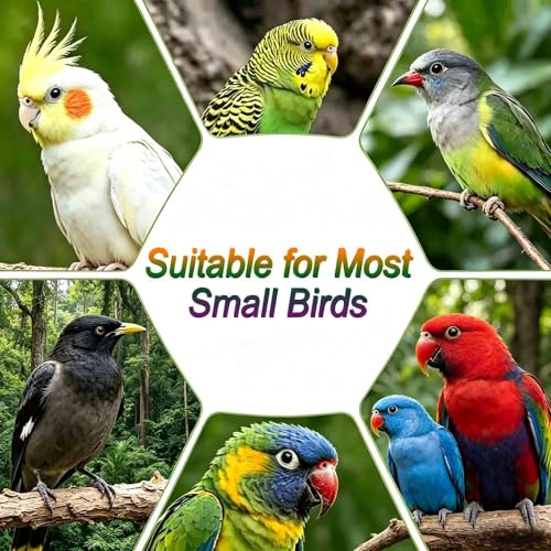 Hanging No Mess Bird Feeder for Cage, Transparent Acrylic Bird Feeder Cage | Bird Feeder Cage with Stainless Steel Hooks for Parrots, Canary, Budgerigar, Cockatiel, Lovebird, Parakeet - size: 5.1"L x 4.3"W x 5.1"H