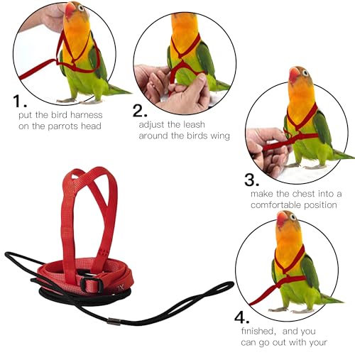 2 pcs Pet Parrot Bird Harness and Leash, Adjustable Training Design Anti-Bite, Outdoor Flying Training Rope Kit for Bird Parrots Fits Birds Chest Between24-51cm /9.45-20inch - M (red - color: red, size: Small to Medium