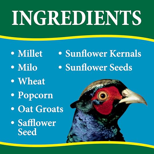 Wild Delight Dove & Quail Food, 10 lb - size: 10 Pound (Pack of 1)
