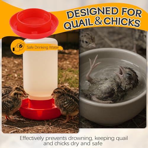 Enhon 2 Pack 2 Sizes Quail Waterer Base, Quail & Chick No Drown Water Base - size: 2 Sizes