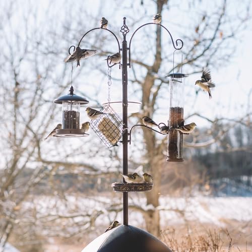 Backyard Expressions 90" Bird Feeding Station for Outdoors, Heavy Duty Bird Feeder Pole with Squirrel Baffle, Shepherd Hooks, Suet Cage, Water Bowl & Tray, Multi Hook Bird Feeder Stand for Yard Garden