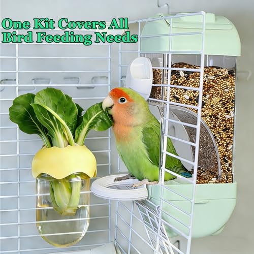 Automatic Bird Cage Feeder No Mess Bird Feeding Station Parrot Vegetable Holder Fruit Clips for Parakeet Cockatoo Canary Lovebirds Budgie (Blue) - color: Blue