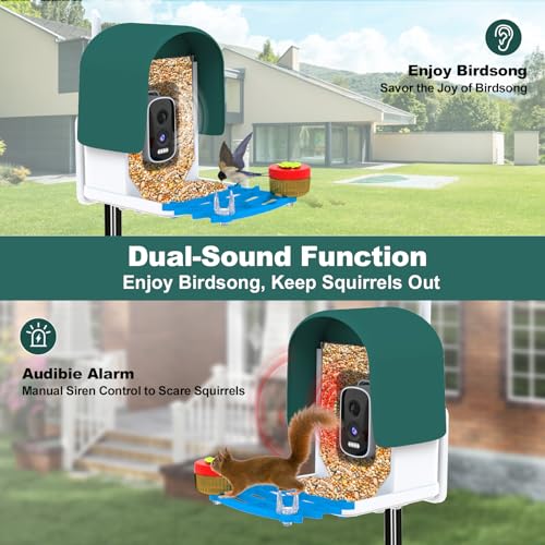 4K Solar Smart Bird Feeder with Camera for Outdoor Bird Watching | 160° Wide Angle, 5200mAh Battery, 32GB SD Card, AI ID 10000+ Birds, Color Night Vision, Waterproof WiFi, Gift for Bird Lovers