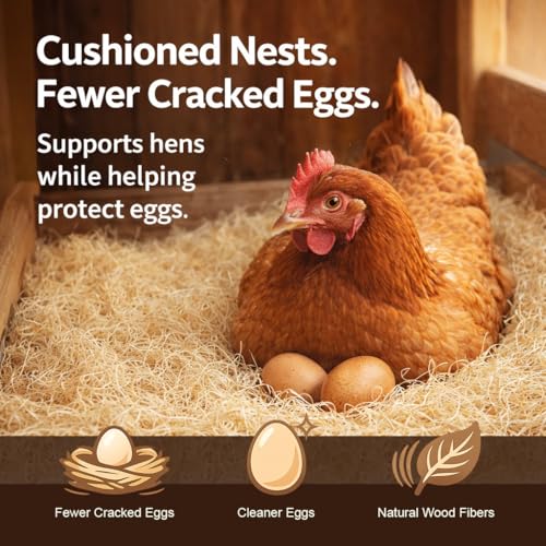 Excelsior Nest Box Pads for Hens - 13inch x 13inch (20 Pack)