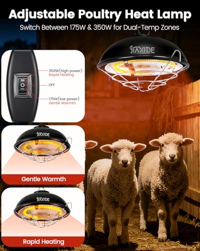 350W Dual-Mode Heat Lamp for Chickens - Long-Lasting Brooder Heater Bulb,Chick Heater with 7.87ft Cord for Chicks, Poultry & Ducklings
