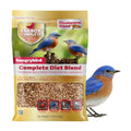 HUNGRYBIRD Energy Complete Diet, 7lb Mealworm Suet & Mixed Nuts | All-Season Feeding, Premium Wild Bird Food, No Waste, No Mess, Attracts a Wide Variety of Wild Birds