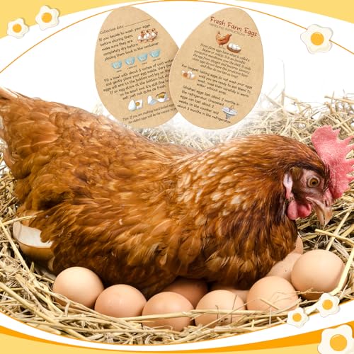 Kisston 200 Pcs Fresh Farm Eggs Handling Instructions Cards 3.5 x 2.6 Inch Reusable Egg Carton Stamp Bulk for Sale Sign Carton Basket Farm Business Accessories Style