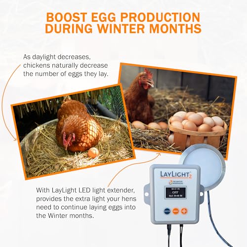 AutoCoop LayLight2 with Smart Timer - Automatic Chicken Coop LED Daylight Extender - Chicken Coop Light with Programmable Settings for Boosting Chicken Egg Production