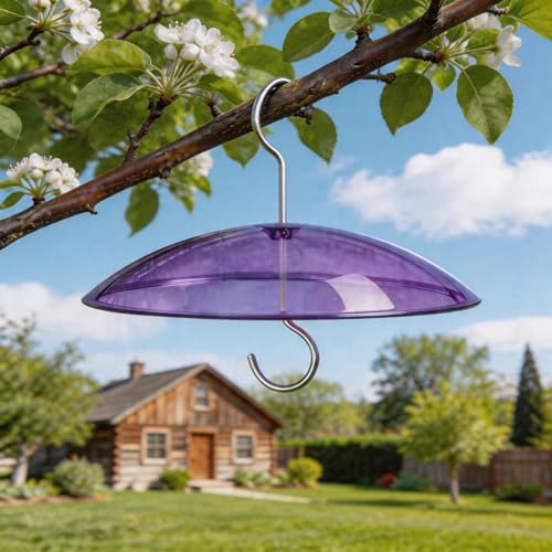 8" Mini Plastic Rain Cover for Bird Feeder, 2-Pack Purple Weather Guard | Stainless Hooks Baffle Dome, Small Protective Shield for Hanging Outdoors, Bird House Protector from Snow/Sun/Poop, Dia. 20cm - color: Purple, size: 2PC/Pack