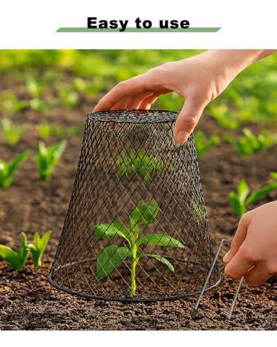 12 Pcs Chicken Wire Cloche Plant Covers, 9 Inch Metal Plant Protectors | Heavy-duty garden netting helps protect plants from rabbits, squirrels, birds and other small animals