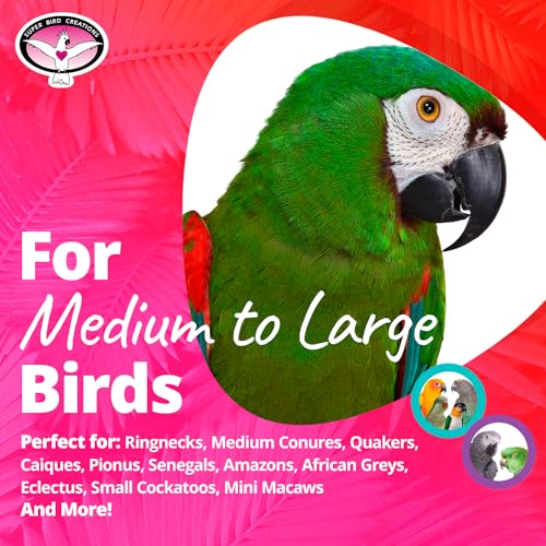 Super Bird Creations SB1205 Squiggy Bird Toy - Satisfies Chewing and Preening Behavior - Interactive Parrot Toy - Ringnecks Medium Conures African Greys Eclectus - Ideal for Medium to Large Bird Size