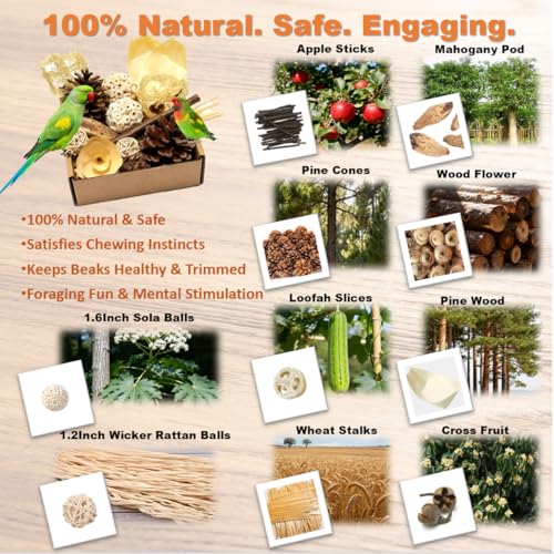 Bird Toys - Sola Ball Foraging Box, 10 Natural Ingredients | Chewing and Shredding Parrot Toys | Ideal for Parakeets/Cockatiels/Conures/Lovebirds and Small to Medium Birds - size: Sola Ball Foraging Box