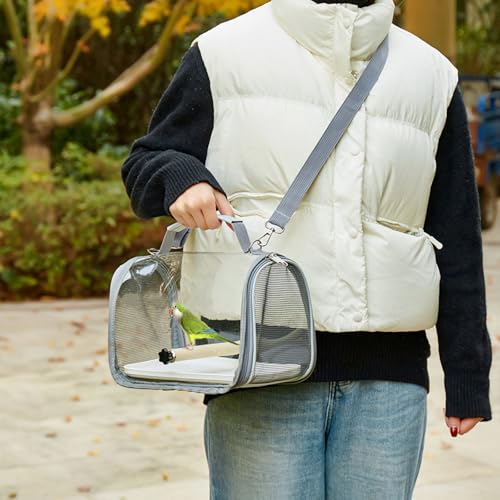 Portable Bird Travel Bag Transparent Pet Cage Easy to Clean Detachable Tray Suitable for Small Pets (Gray) - color: Gray