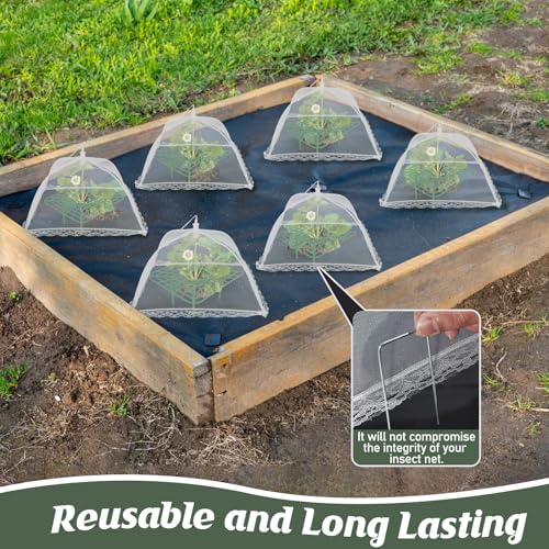 4 Sets Strawberry Plant Support with Mesh Plant Cover,Strawberry Growing Racks Sets with Iron Plant Nails and Storage Bag for Garden Strawberry Vegetables(White Net - Square) - color: White Net - Square