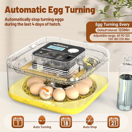 Incubator for Hatching Eggs, 12 Eggs Incubator with Automatic Egg Turning, Temperature & Humidity Control, LED Egg Candler, Incubation Days Display, for Chicken, Duck, Quail, Parrot Bird Eggs