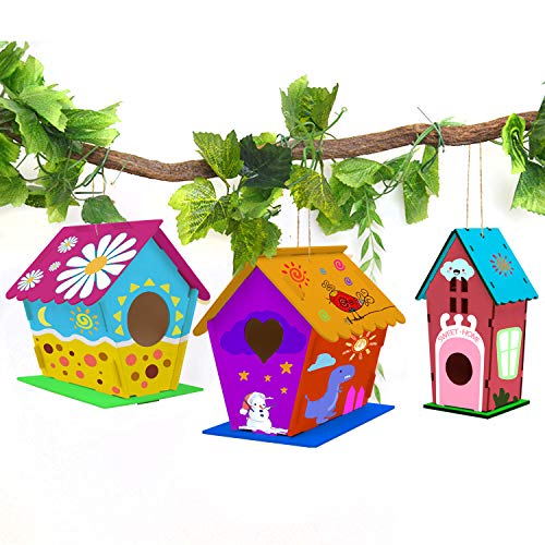 hapray 4 Pack Bird House Craft Kit, DIY Birdhouse for Kids to Build & Paint - color: 4 Pack Bird House