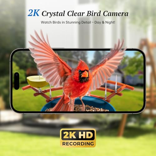 Smart Bird Feeder with Camera, 2K HD AI Identify Birds Species, Bird Watching Camera with Solar Panel, Gift for Mom Dad Birdlovers