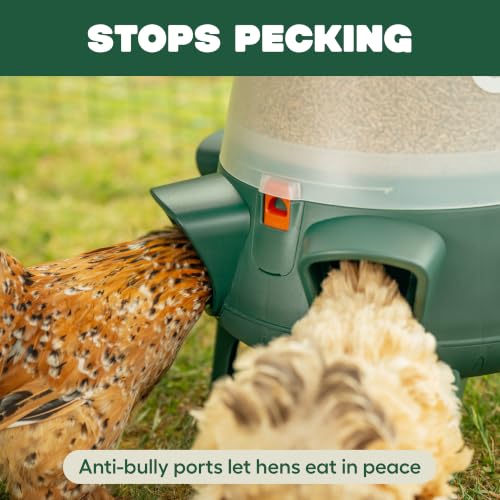 Omlet No Waste Chicken Feeder for Coop | Large 25lb Anti-Spill Poultry Feeder with 6 Feeding Ports | Feeds 12 Hens for 7 Days | Hanging or Free Standing | Weatherproof - size: 25lb