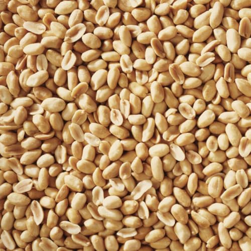 Happy Wings 5LB Shelled Peanuts Bird Food, No Grow Seeds, 100% Edible | High in Oil & Protein, High Energy Content, No Waste Bird Seeds, Heat Treated at Optimum Temperature, USDA & BRC-GS Approved - size: 5 Pound (Pack of 1)